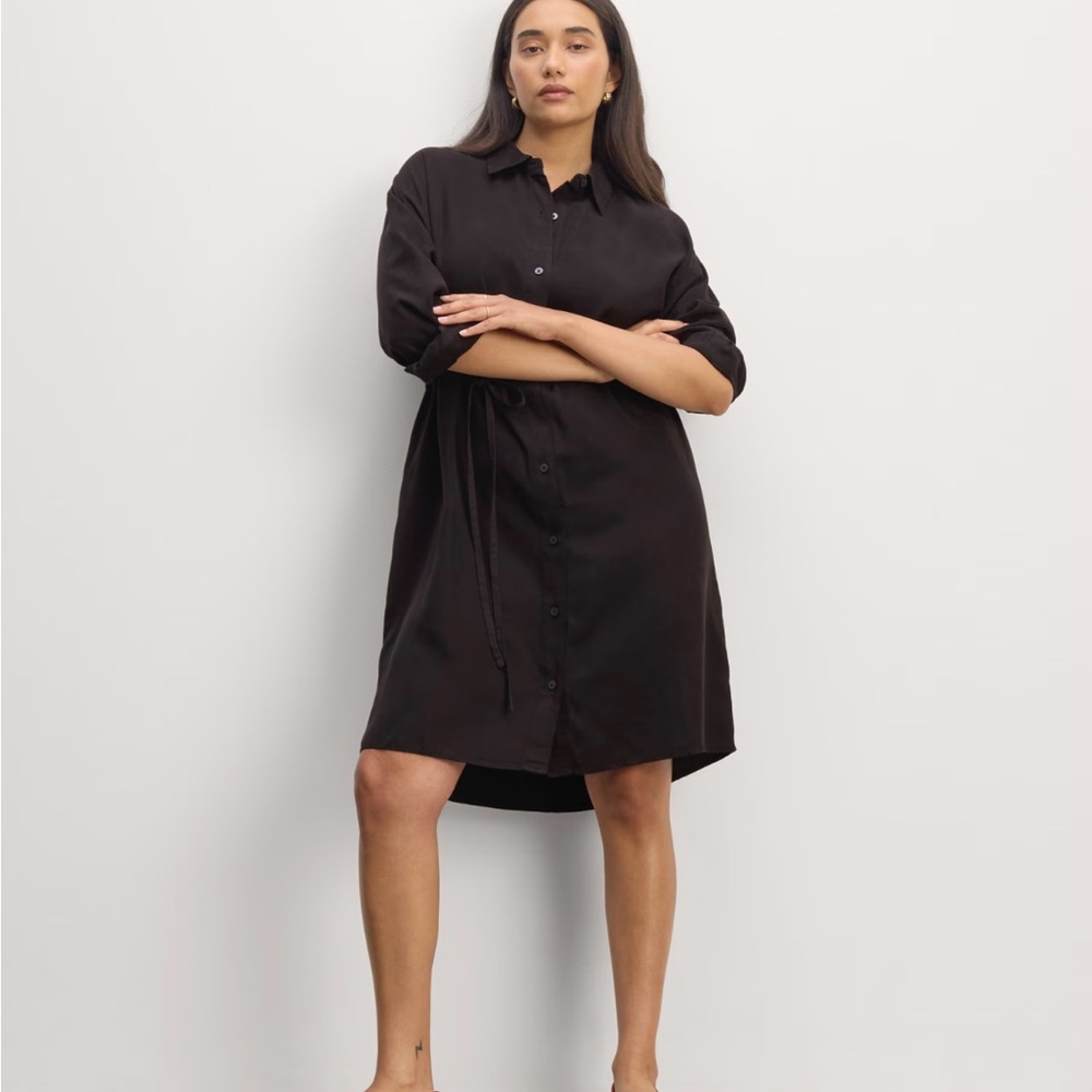 Everlane Black 3/4 Sleeve Shirt Dress